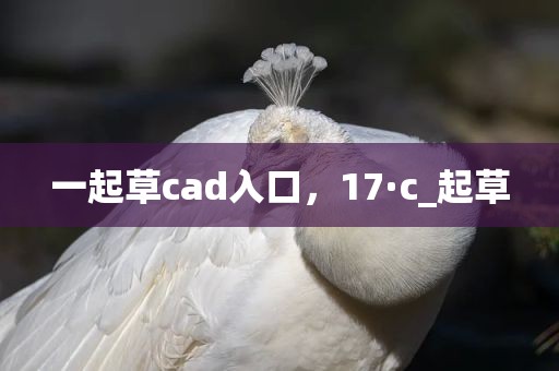 一起草cad入口，17·c_起草