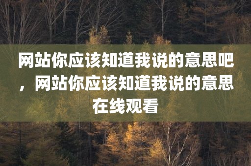 网站你应该知道我说的意思吧，网站你应该知道我说的意思在线观看