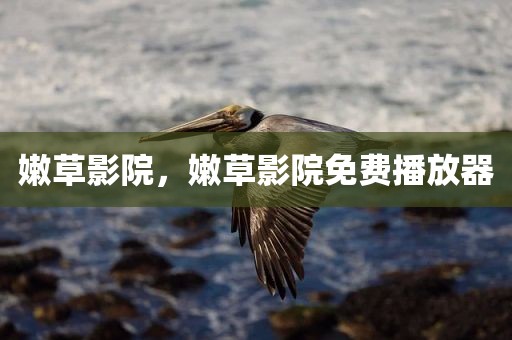 嫩草影院，嫩草影院免费播放器