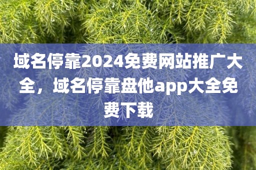 域名停靠2024免费网站推广大全，域名停靠盘他app大全免费下载