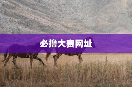 必撸大赛网址