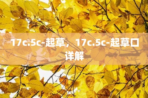 17c.5c-起草，17c.5c-起草口详解