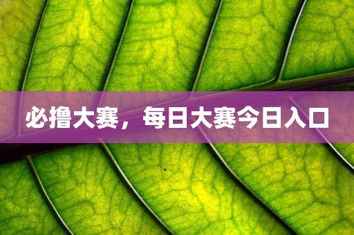 必撸大赛，每日大赛今日入口