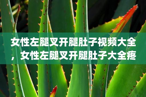 女性左腿叉开腿肚子视频大全，女性左腿叉开腿肚子大全疼