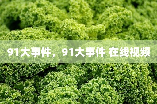 91大事件，91大事件 在线视频