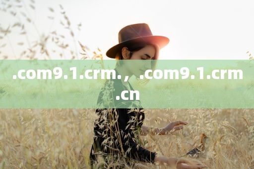 .com9.1.crm.，.com9.1.crm.cn