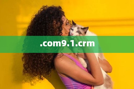 .com9.1.crm