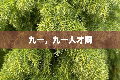 九一，九一人才网