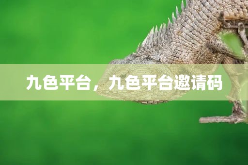 九色平台，九色平台邀请码