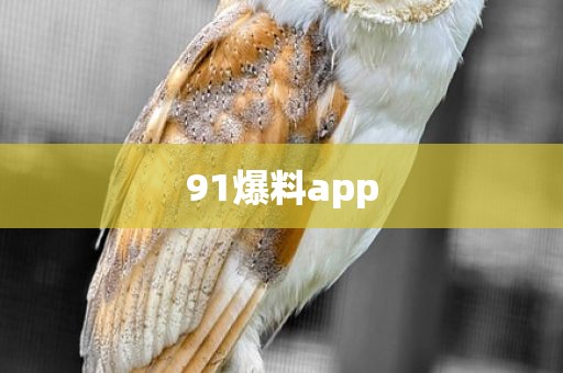 91爆料app