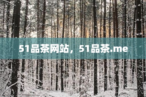 51品茶网站，51品茶.me