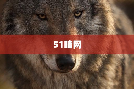 51暗网
