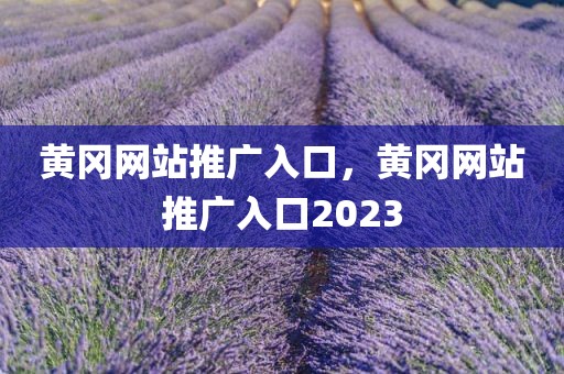 黄冈网站推广入口，黄冈网站推广入口2023