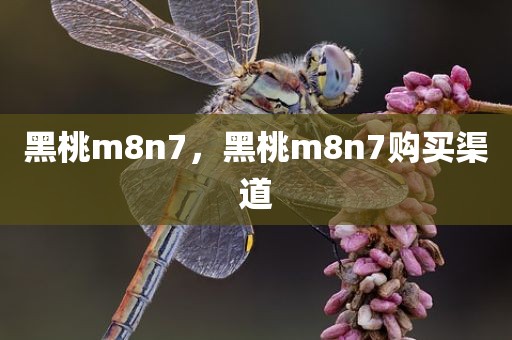 黑桃m8n7，黑桃m8n7购买渠道