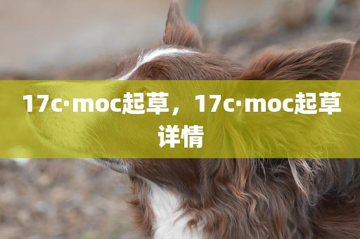 17c·moc起草，17c·moc起草详情