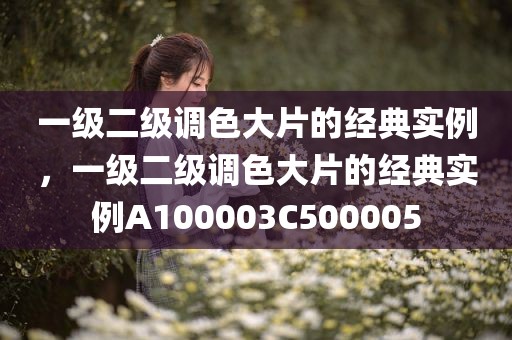 一级二级调色大片的经典实例，一级二级调色大片的经典实例A100003C500005