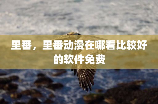 里番，里番动漫在哪看比较好的软件免费