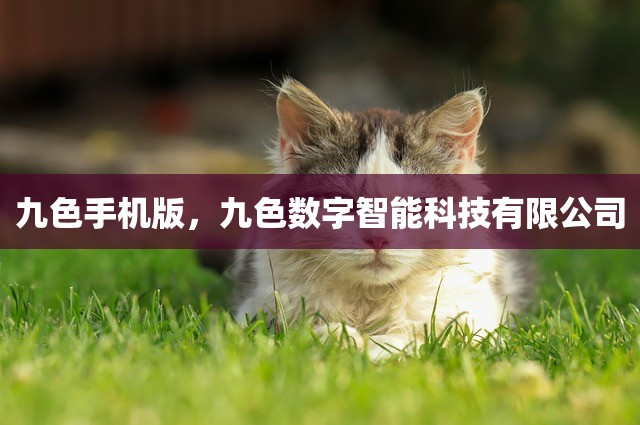 九色手机版，九色数字智能科技有限公司