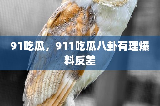 91吃瓜，911吃瓜八卦有理爆料反差