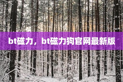 bt磁力，bt磁力狗官网最新版