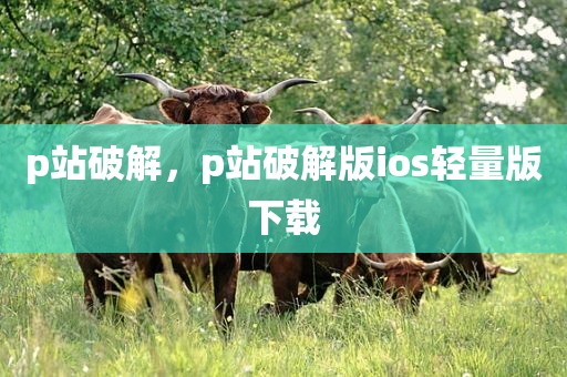 p站破解，p站破解版ios轻量版下载