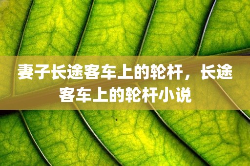 妻子长途客车上的轮杆，长途客车上的轮杆小说