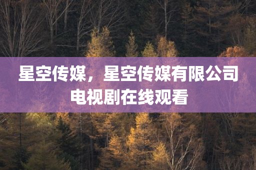 星空传媒，星空传媒有限公司电视剧在线观看