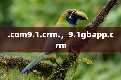 .com9.1.crm.，9.1gbapp.crm