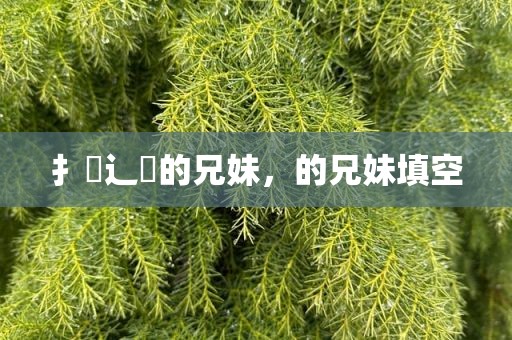 扌臿辶畐的兄妹，的兄妹填空