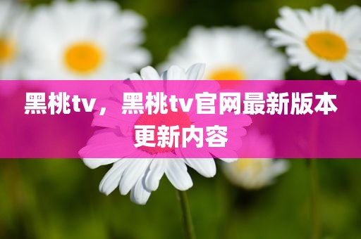 黑桃tv，黑桃tv官网最新版本更新内容
