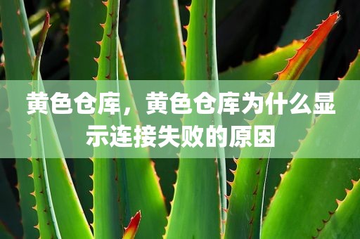 黄色仓库，黄色仓库为什么显示连接失败的原因