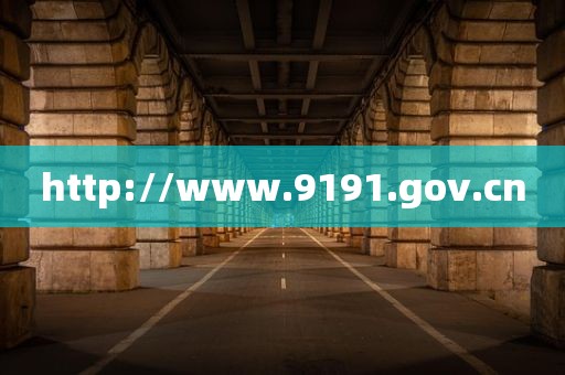 http://www.9191.gov.cn