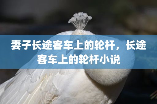 妻子长途客车上的轮杆，长途客车上的轮杆小说