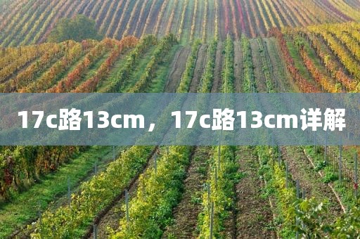 17c路13cm，17c路13cm详解