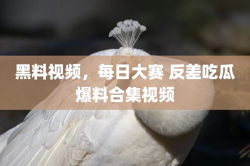 黑料视频，每日大赛 反差吃瓜爆料合集视频