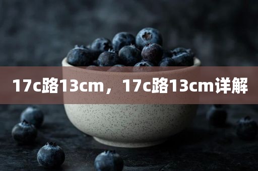 17c路13cm，17c路13cm详解