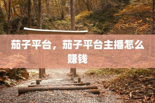 茄子平台，茄子平台主播怎么赚钱