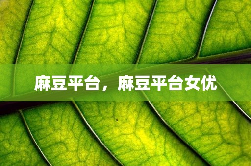 麻豆平台，麻豆平台女优
