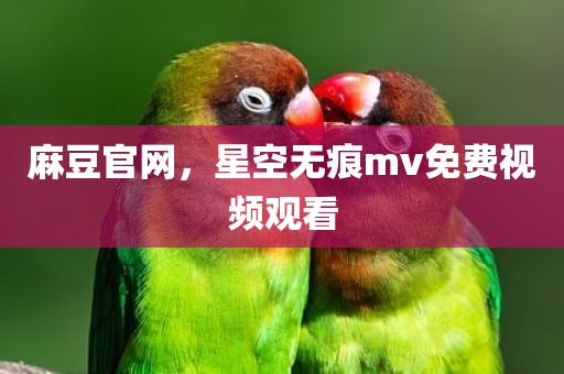 麻豆官网，星空无痕mv免费视频观看
