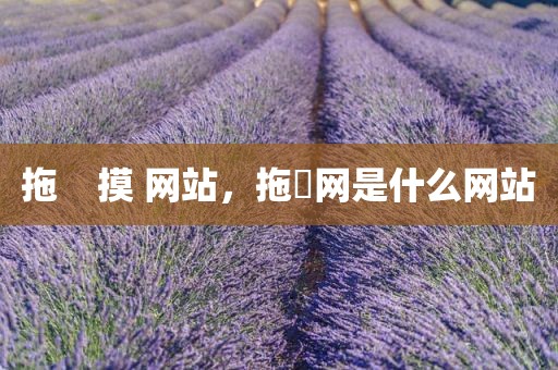 拖    摸 网站，拖弎网是什么网站