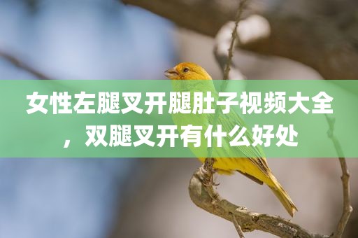 女性左腿叉开腿肚子视频大全，双腿叉开有什么好处