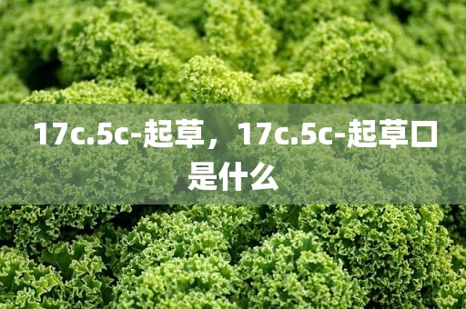 17c.5c-起草，17c.5c-起草口是什么