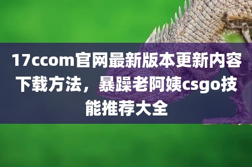17ccom官网最新版本更新内容下载方法，暴躁老阿姨csgo技能推荐大全