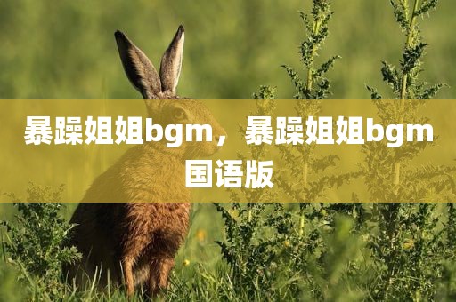 暴躁姐姐bgm，暴躁姐姐bgm国语版