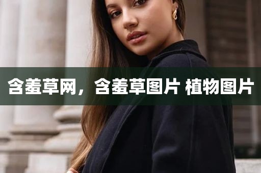 含羞草网，含羞草图片 植物图片