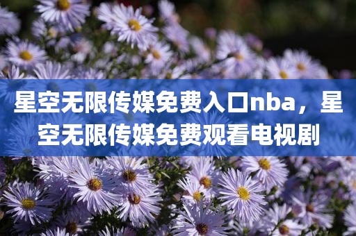 星空无限传媒免费入口nba，星空无限传媒免费观看电视剧