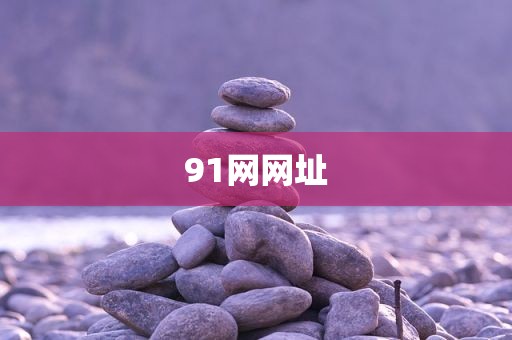 91网网址