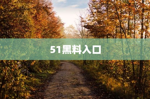 51黑料入口
