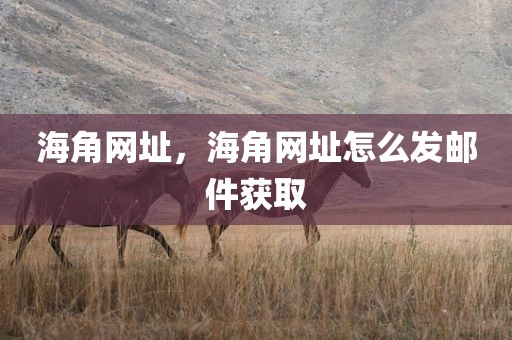 海角网址，海角网址怎么发邮件获取