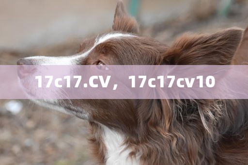 17c17.CV，17c17cv10